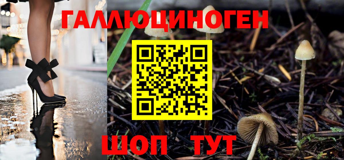 Галлюциногенные грибы Cubensis Волжский