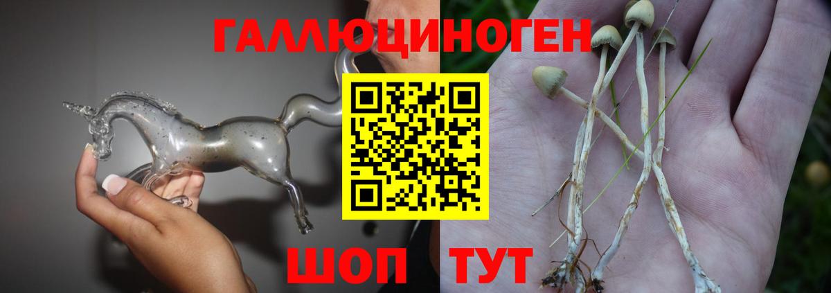 Галлюциногенные грибы GOLDEN TEACHER  сколько стоит  Волжский  Вход с VPN 
